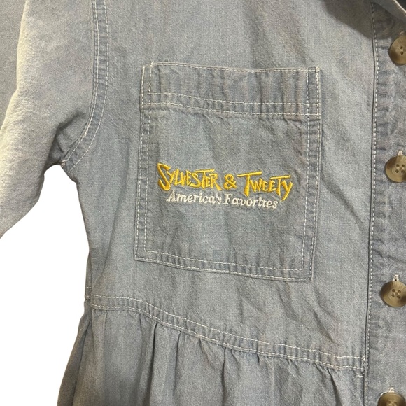 Vintage Denim Maxi Dress with Looney Tunes Tweety Bird and Sylvester Embroidery - Picture 5 of 9